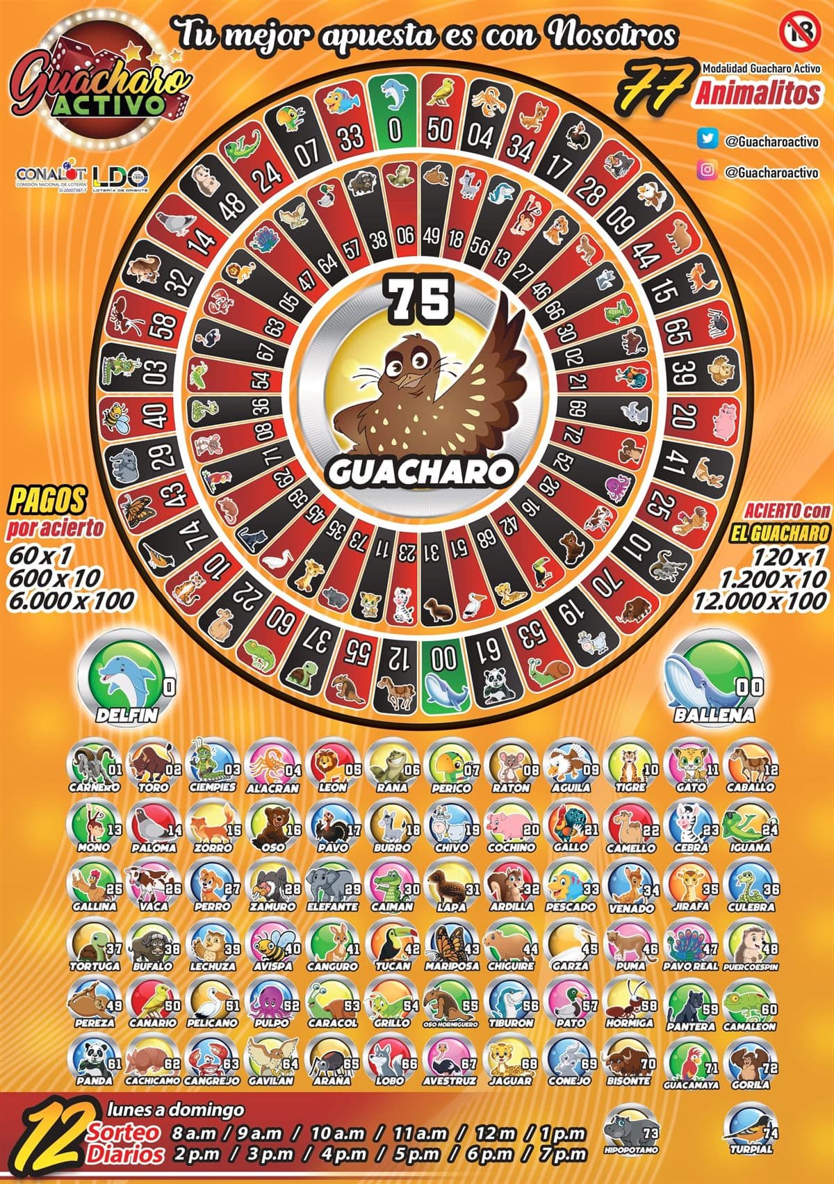 Afiche oficial de Guácharo Activo
